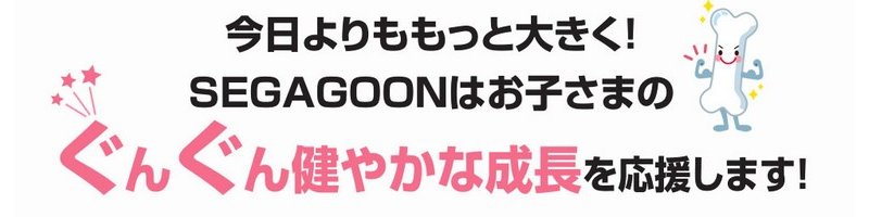 ���q�l�̐��������O�[���ƃT�|�[�g�I�ySEGAGOON(�Z�K�O�[��)�z���T�C�g